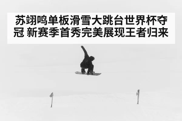 苏翊鸣单板滑雪大跳台世界杯夺冠 新赛季首秀完美展现王者归来